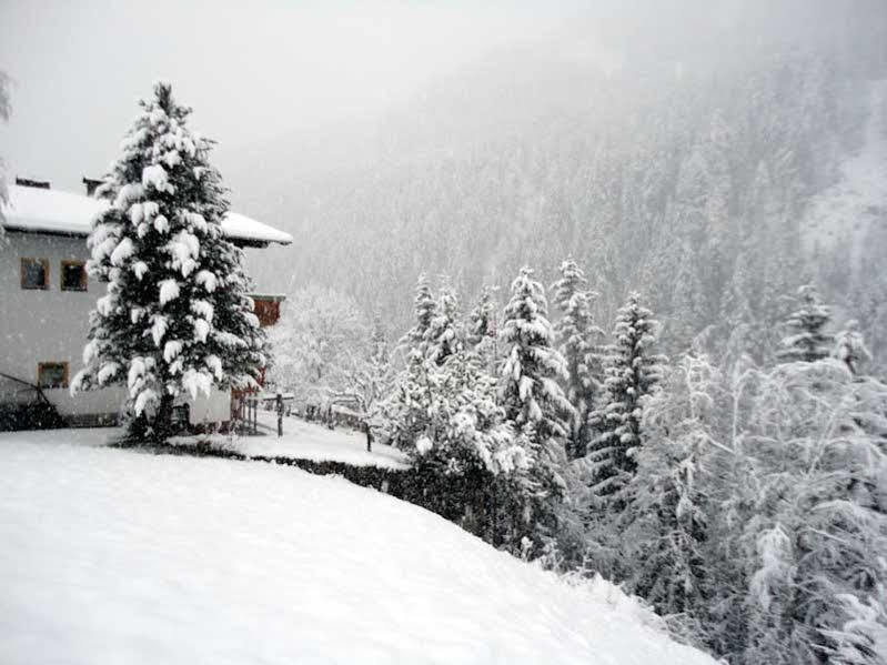 Haus Dorfblick Hotel Pragraten ภายนอก รูปภาพ